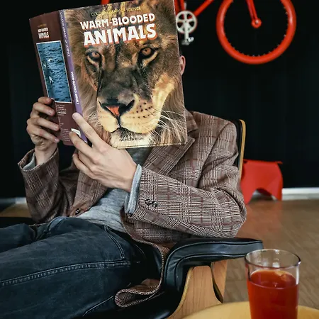 阿姆斯特丹史基浦机场世民酒店 4* 史基浦